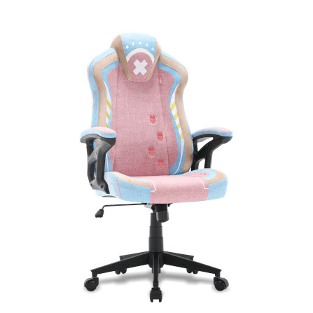 เก้าอี้เกมมิ่ง TTRacing Duo V4 Chopper Edition _5